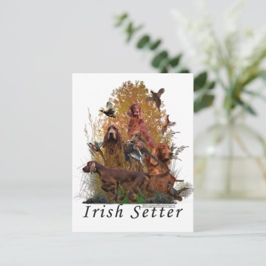 Irish Setter Postkarte (Stehend Vorderseite)
