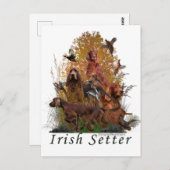 Irish Setter Postkarte (Vorne/Hinten)