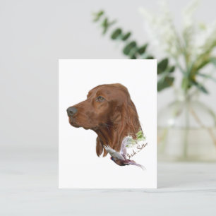 Irish Setter Postkarte