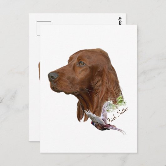 Irish Setter Postkarte (Vorne/Hinten)