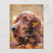 Irish Setter Postkarte (Vorderseite)