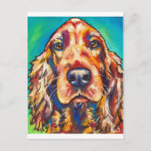 Irish Setter Postkarte (Vorderseite)
