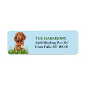 Irish Setter Puppy Daffodil Garden Rücksendeadress (Vorne)