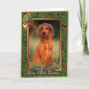 Irish Setter Puppy Dodge Blank Christmas Card Feiertagskarte