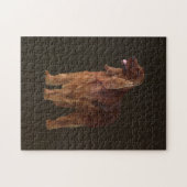 Irish Setter Puzzle (Horizontal)