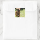 Irish Setter Quadratischer Aufkleber (Tasche)