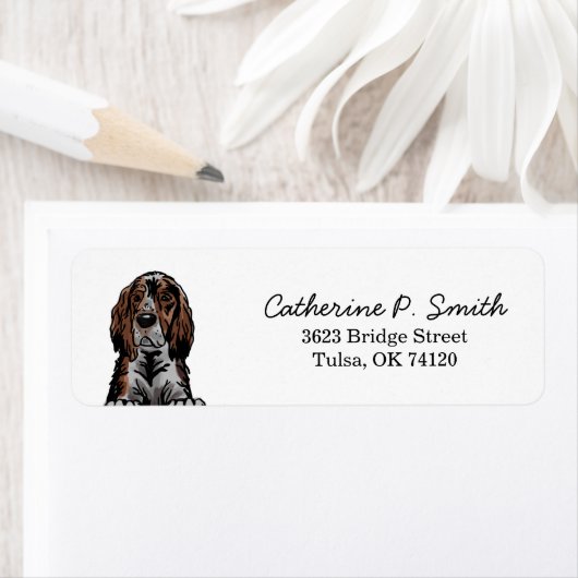 Irish Setter Rücksendeadresse (Insitu)