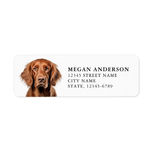 Irish Setter Rücksendeadressen-Aufkleber (Vorne)