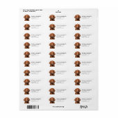 Irish Setter Rücksendeadressen-Aufkleber (Vorne)