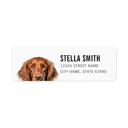 Irish Setter Rücksendeadressen-Aufkleber (Vorne)