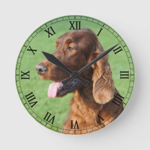 Irish Setter Runde Wanduhr