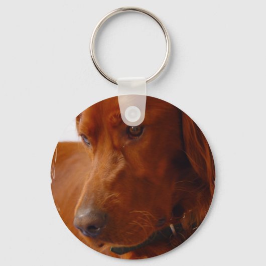 Irish Setter Schlüsselanhänger (Vorderseite)