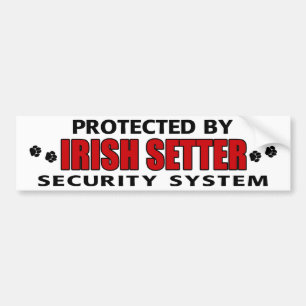 Irish Setter Security Autoaufkleber