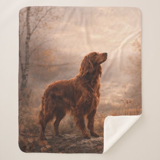 Irish Setter Sherpadecke (Vorderseite)