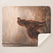 Irish Setter Sherpadecke (Vorderseite (Horizontal))