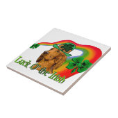 Irish Setter St Patricks Fliese (Seite)