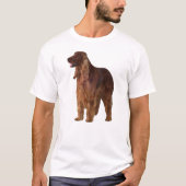 Irish Setter T-Shirt (Vorderseite)