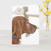 Irish Setter Thinking of You Karte (Gelbe Blume)