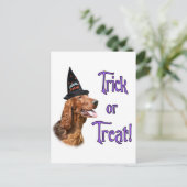 Irish Setter Trick Postkarte (Stehend Vorderseite)