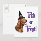 Irish Setter Trick Postkarte (Vorne/Hinten)