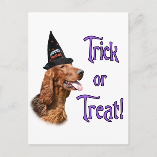 Irish Setter Trick Postkarte (Vorderseite)