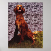 Irish Setter und Gemustertes Betonmauerplakat Poster (Vorne)