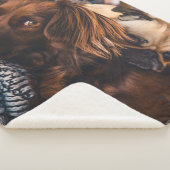 Irish Setter und Mops Sherpadecke (3/4)