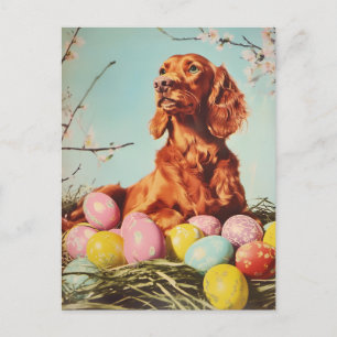 Irish Setter Vintage Ostern Postkarte