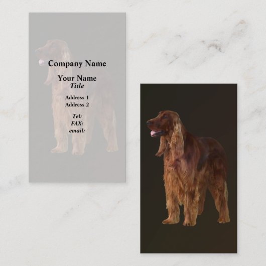 Irish Setter Visitenkarte (Vorne/Hinten)