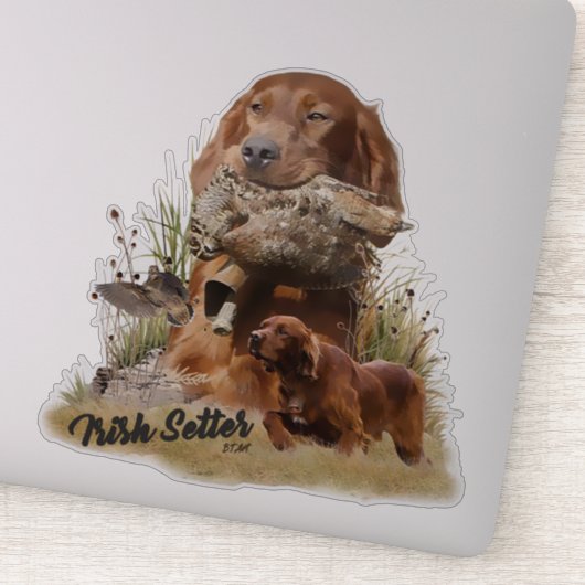 Irish Setter , Walcockjagd, Art Aufkleber (Detail)