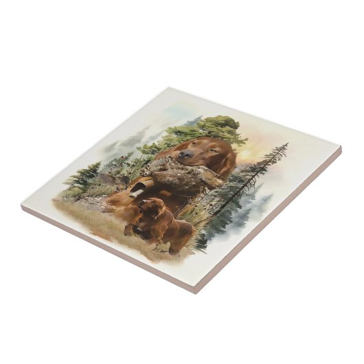Irish Setter , Walcockjagd, Art Fliese (Seite)