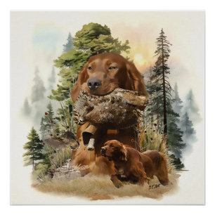 Irish Setter , Walcockjagd, Art Poster