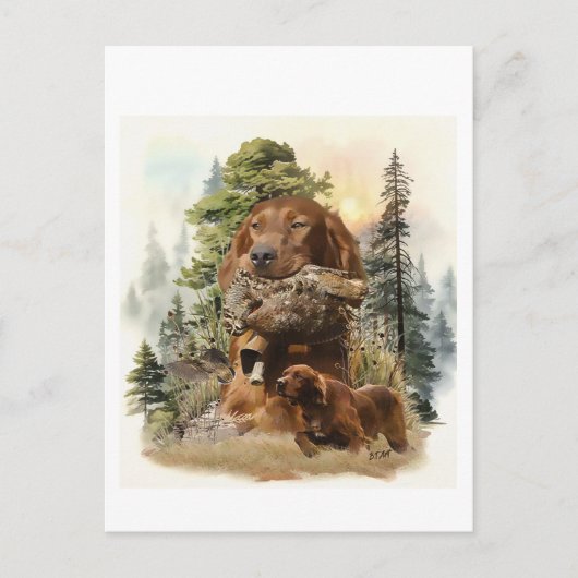 Irish Setter , Walcockjagd, Art Postkarte (Vorderseite)