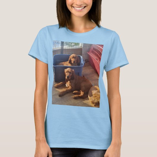 Irish Setter Welppies T - Shirt (Vorderseite)