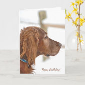 Irish Setter zum Geburtstag im Schnee Karte (Gelbe Blume)
