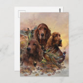 Irish Setters with Pheasants - Passion Hunt Postkarte (Vorne/Hinten)