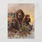 Irish Setters with Pheasants - Passion Hunt Postkarte (Vorderseite)