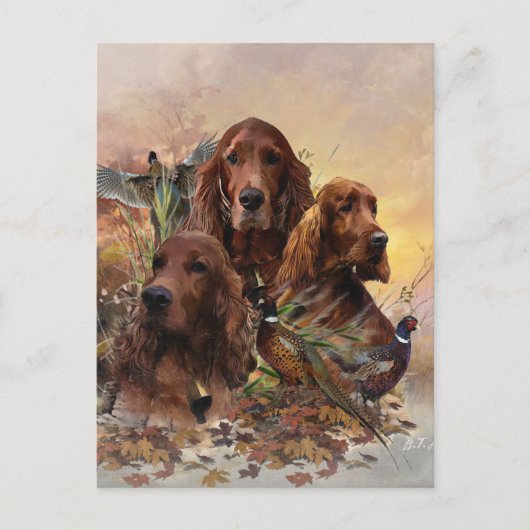 Irish Setters with Pheasants - Passion Hunt Postkarte (Vorderseite)