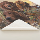 Irish Setters with Pheasants - Passion Hunt Sherpadecke (3/4)