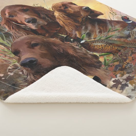 Irish Setters with Pheasants - Passion Hunt Sherpadecke (3/4)