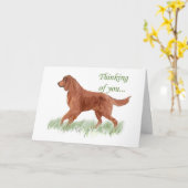 Irish Settter Sympathy Card Karte (Gelbe Blume)