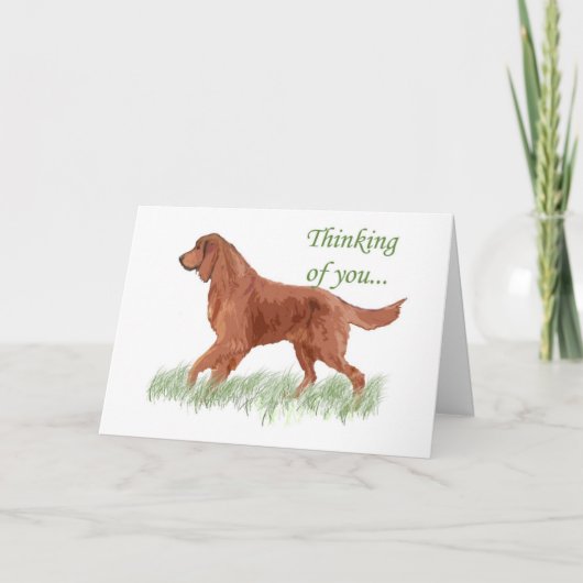 Irish Settter Sympathy Card Karte (Vorderseite)