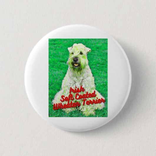 Irish Soft Coat Wheaten Terrier in Gras Button (Vorderseite)
