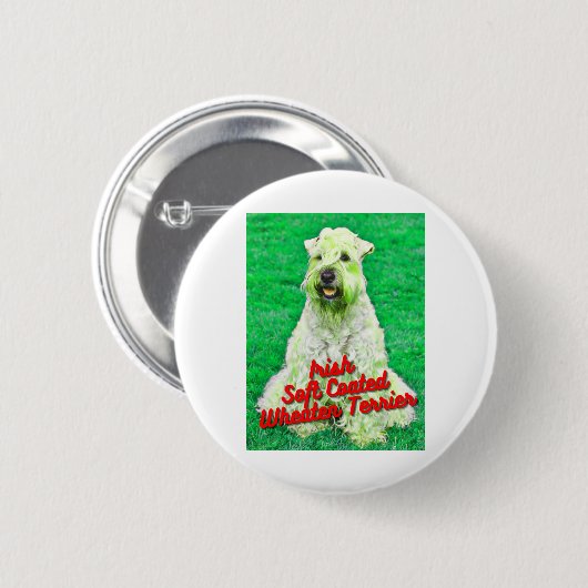 Irish Soft Coat Wheaten Terrier in Gras Button (Vorne & Hinten)
