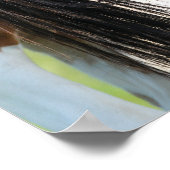 Irish Sport Horse Foal Verstecken unter Schwanz Poster (Ecke)