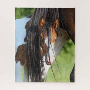 Irish Sport Horse Foal Verstecken unter Schwanz Puzzle