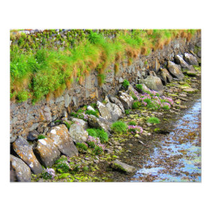 Irish Spring #1 Fotodruck