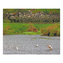 Irish Spring #2 Fotodruck