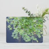 Irish Spring Clover Hochzeit Einladung (Stehend Vorderseite)