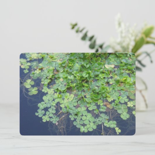 Irish Spring Clover Hochzeit Einladung (Stehend Vorderseite)